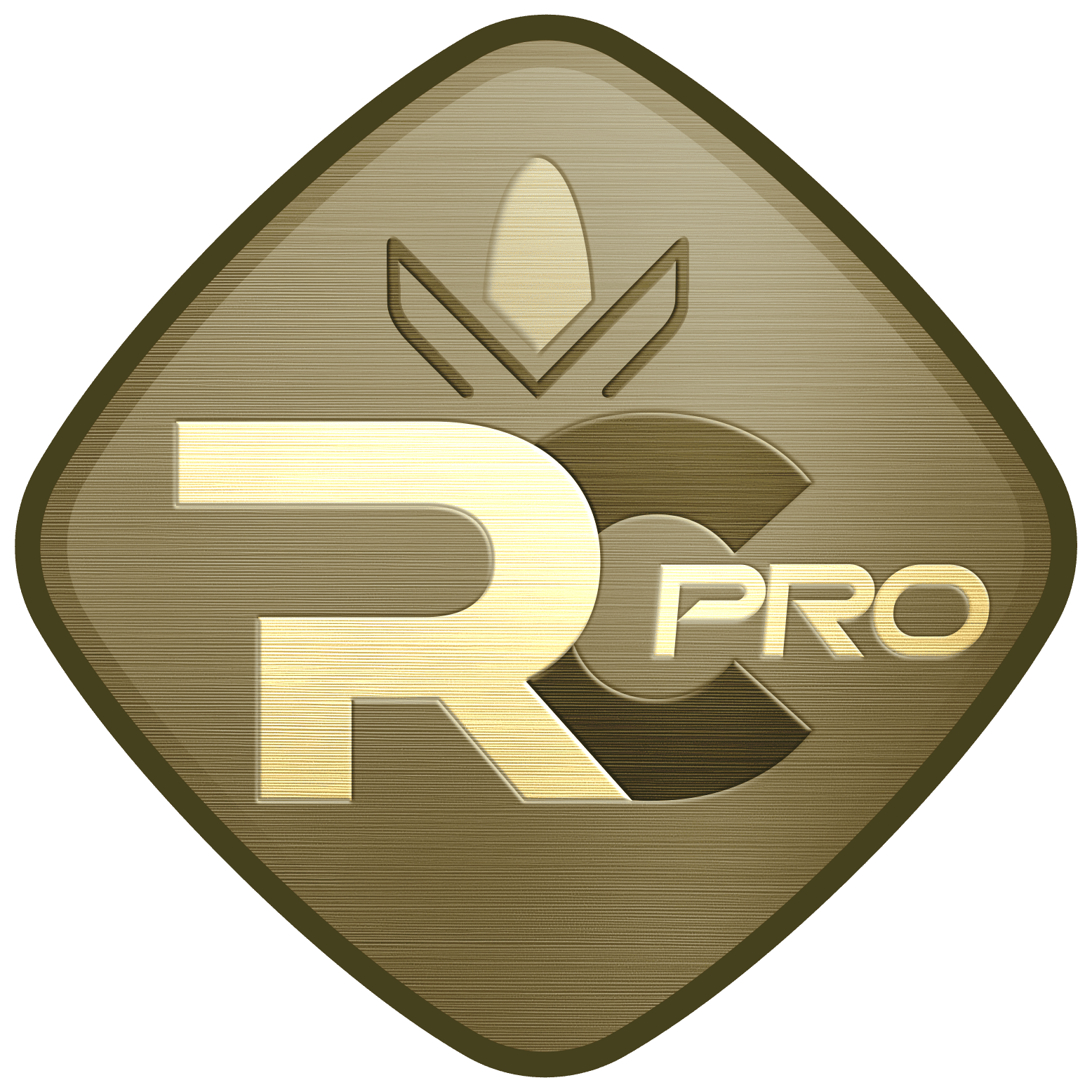 RC Pro